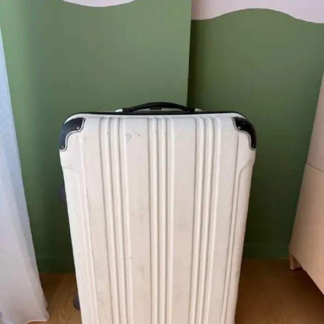 Чемодан размера L